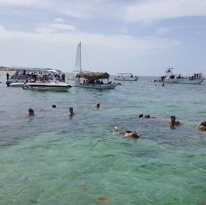 Meet your Posher, Terry